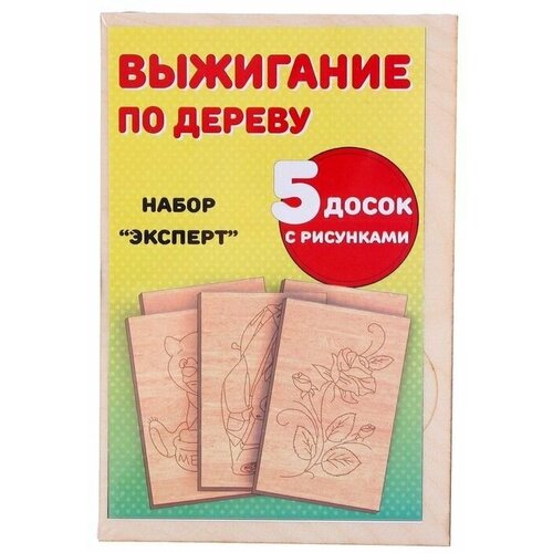 Набор для выжигания по дереву Эксперт, 5 досок с рисунком, 14 x 21 см