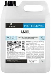 Средство для чистки кухонных плит и пароконвектоматов Amol Pro-Brite, 5 л