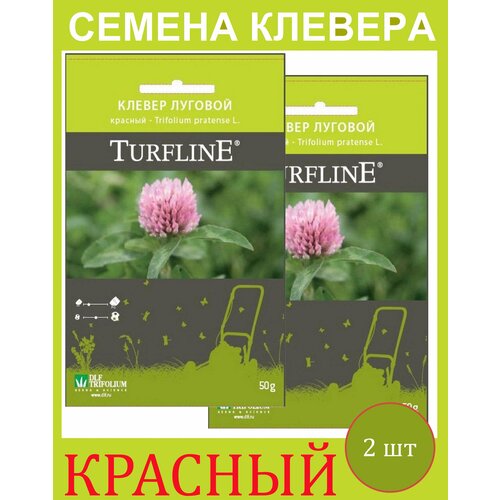 Клевера Семена сидерата Красного Лугового для газона Trifolium Protense L TURFLINE DLF 0.1 кг (0,05 кг. - 2 упаковки)