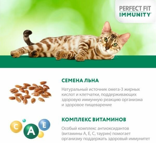 Perfect Fit Immunity влажный корм для иммунитета кошек, говядина в желе и семена льна (28 шт в уп), 75 гр. - фотография № 11