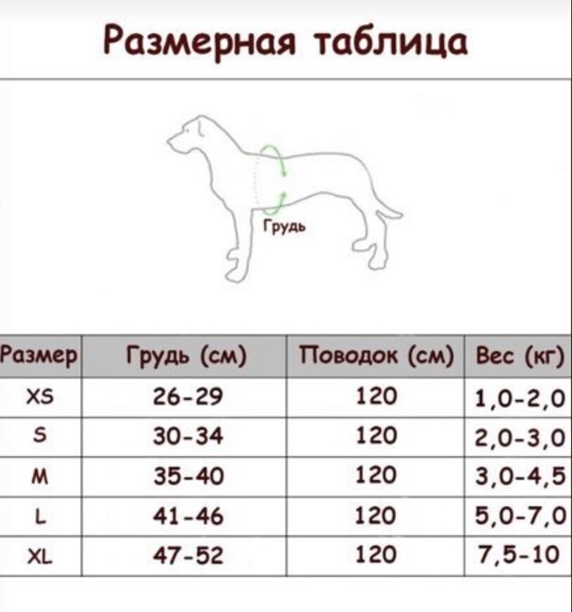 Шлейка для кошек и собак мелких пород со светоотражающими вставками, поводок 1,5 м - фотография № 4