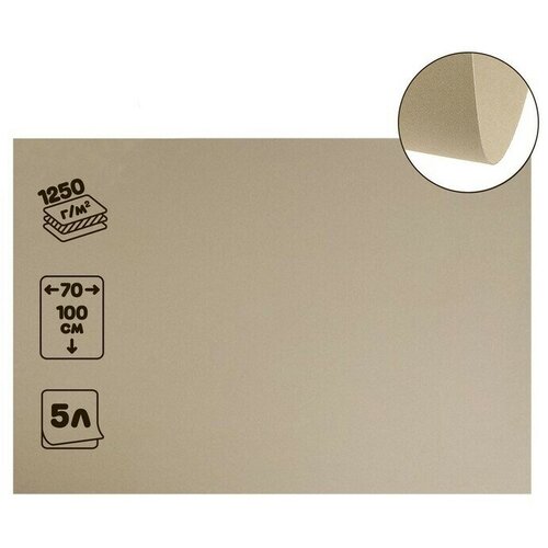 Картон переплетный 20 мм 70 х 100 см 5 листов 1250 гм серый 2210₽