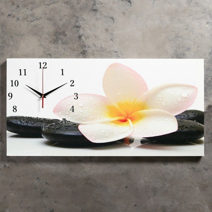 Сюжет Часы-картина настенные, серия: Цветы, "Белый цветок на камнях", 40 х 76 см
