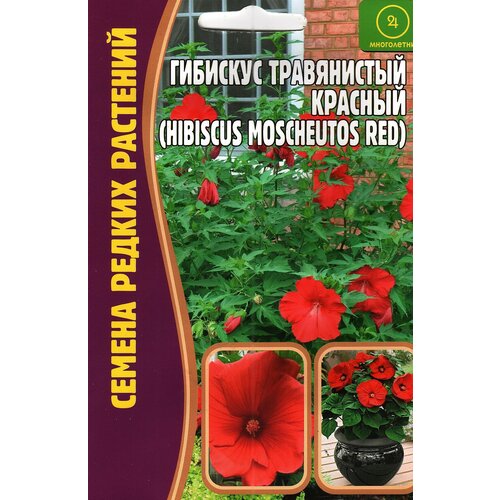 Гибискус травянистый красный HIBISCUS MOSCHEUTOS RED, многолетник ( 1уп: 5 семян )