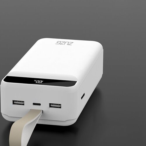 Powerbank 5000mA 15W 350000₽