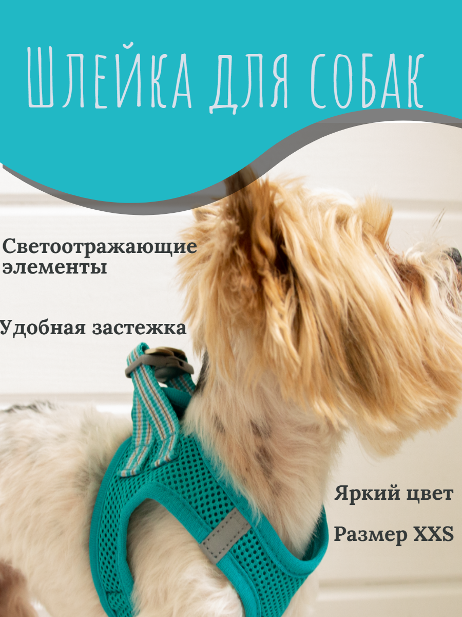 Прогулочная шлейка для собак и кошек со светоотражающими элементами, XXS голубая - фотография № 1