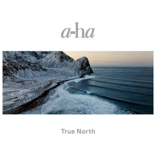 Виниловая пластинка a-Ha. True North (2 LP) a ha true north 2 lp