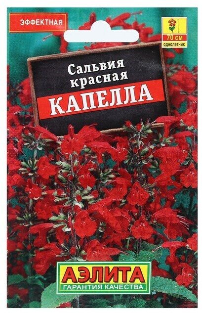 Семена Цветов Сальвия "Капелла" красная 01 г