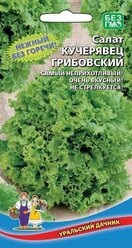 Салат Кучерявец грибовский 0,25г., Уральский дачник - комплект 5 пачек