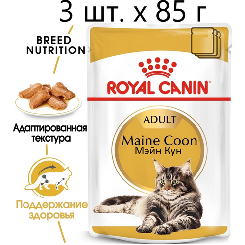 Влажный корм для кошек Royal Canin Maine Coon Adult, для взрослых кошек породы мейн-кун, 3 шт. х 85 г (кусочки в соусе) влажный корм для кошек royal canin maine coon adult для взрослых кошек породы мейн кун 8 шт х 85 г кусочки в соусе