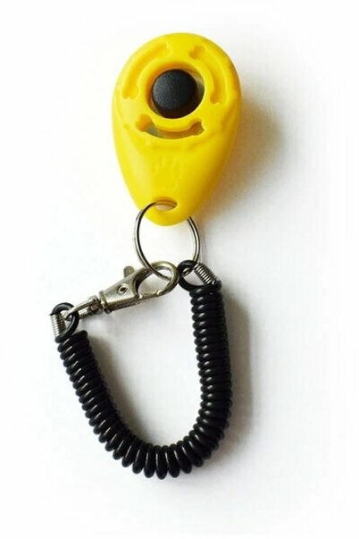 Игрушка для собак ZooWell ( Кликер на браслете) (желтый) - фотография № 1