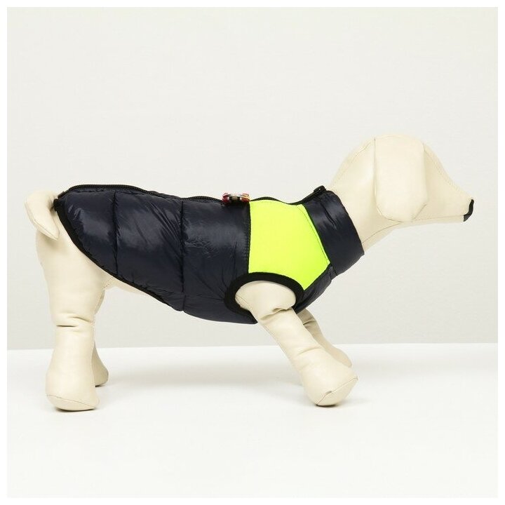 Куртка для собак на молнии, размер 12 (ДС 28 см, ОГ 38 см, ОШ 27 см), синяя с жёлтым - фотография № 2