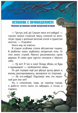 Кот да Винчи. Похищение в день рождения - фото №13
