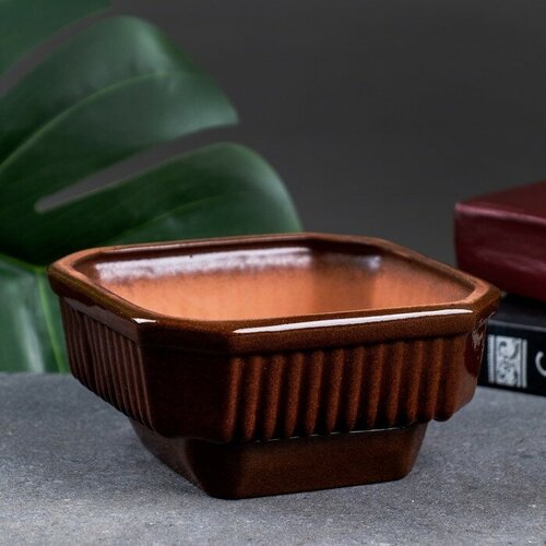 Горшок цветочный Кактусник 1 04л 924₽