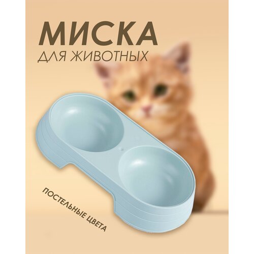 Двойная миска для кошек и собак / Пластиковая двойная миска для животных. 300мл (Голубой)