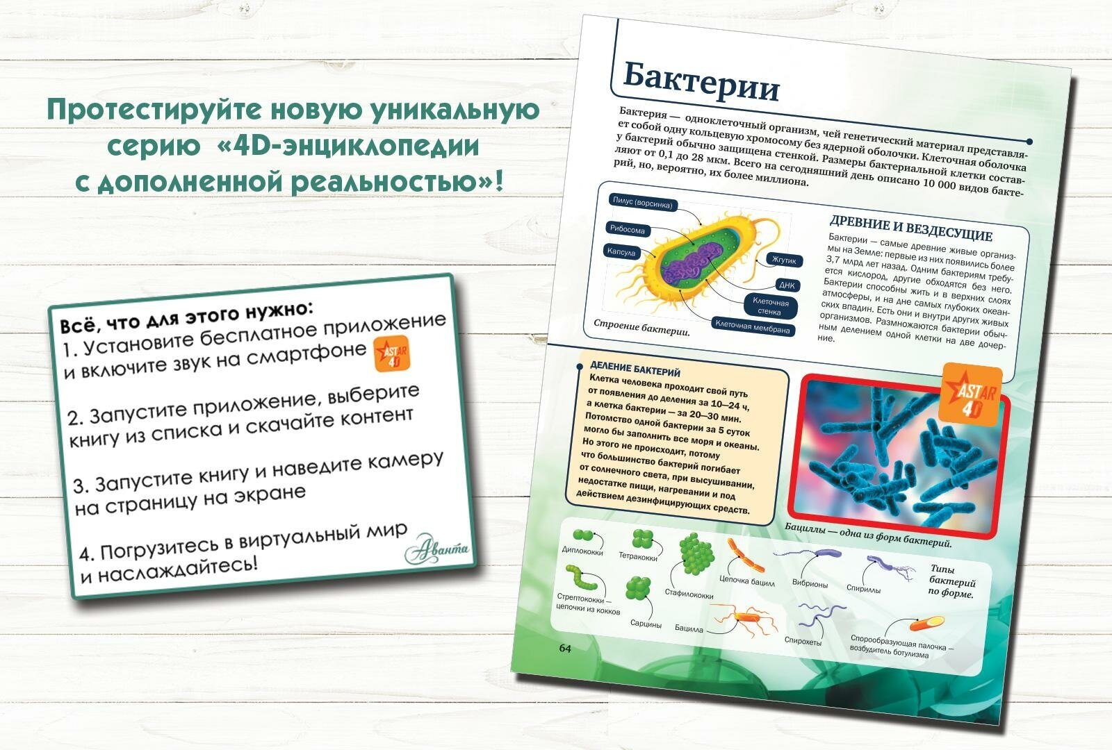 Спектор Анна Артуровна. Живой мир. 4D энциклопедии с дополненной реальностью