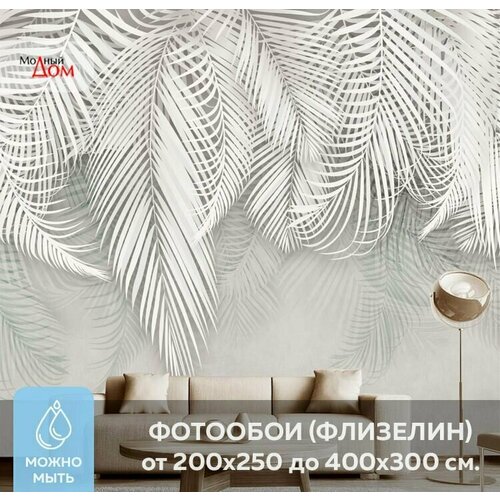 Фотообои на стену Белая пальма 300x270(ШxВ) см, 3d флизелиновые обои