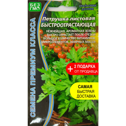 Семена Петрушка листовая Быстроотрастающая, 2 гр. + 2 Подарка