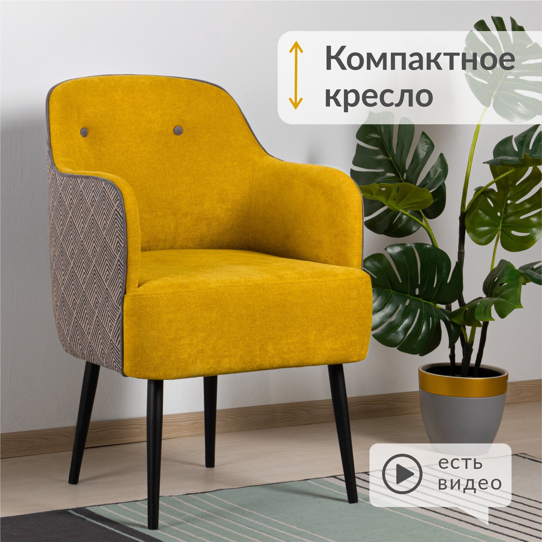 фото Ренио 03.03