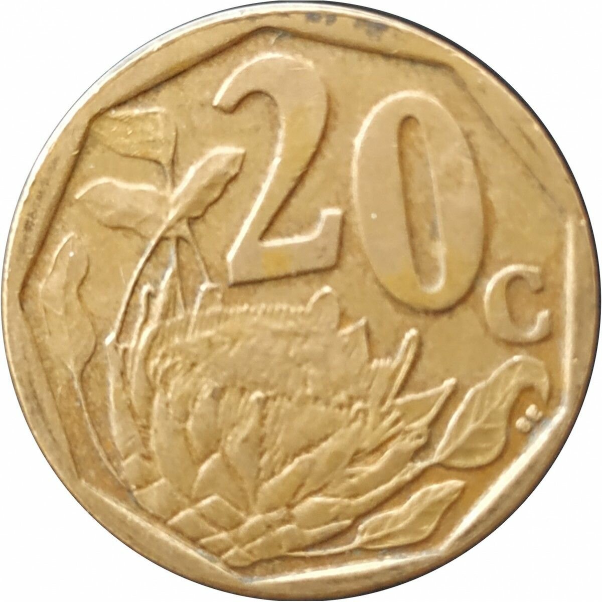 20 центов 2007 ЮАР из оборота