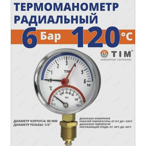 Термоманометр радиальный TIM 1/2 - 6 бар, 0 - 120 гр. TIM Y-80-6