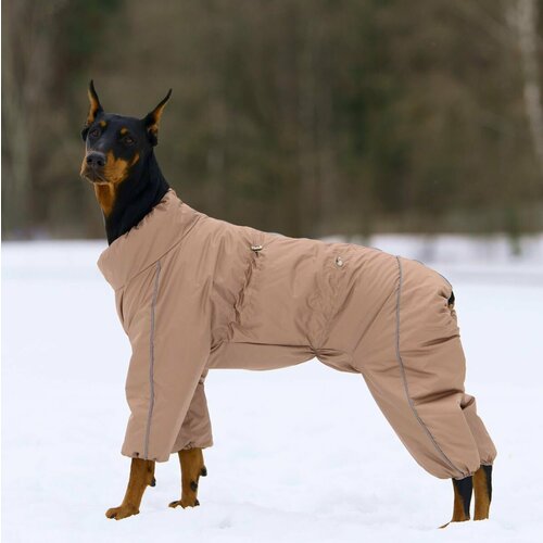 Комбинезон демисезонный для собак р. 40-2 сука (беж.)