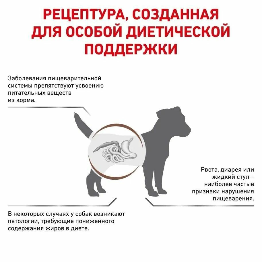 Сухой корм для собак мелких пород Royal Canin Gastrointestinal Small Dog Low Fat при нарушениях пищеварения, 1 кг — фото 1