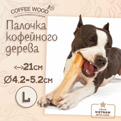 Игрушка для собак COFFEE WOOD "Палочка кофейного дерева", 21см, L (Вьетнам)