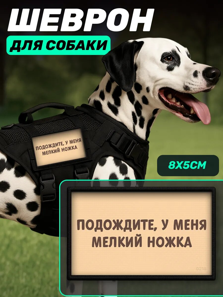 Шеврон на шлейку для собак Подождите у меня мелкий ножка