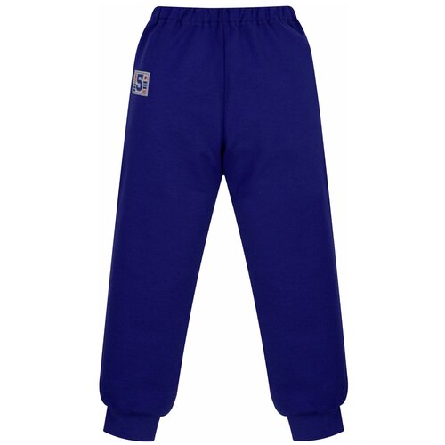 фото Брюки утенок размер 98, василек