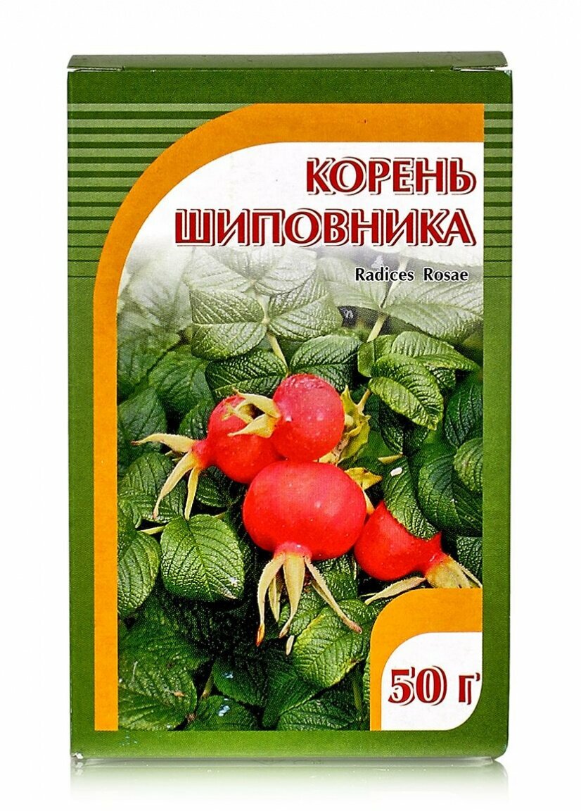 Хорст корень Шиповника