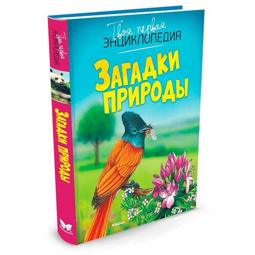 Книга Загадки природы