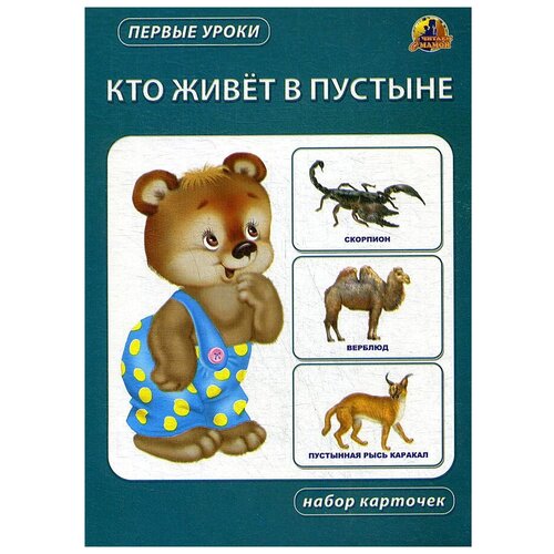 Дидактические карточки ЛИНГ Первые уроки. Кто живет в пустыне, 12 шт., 22х15.5 см