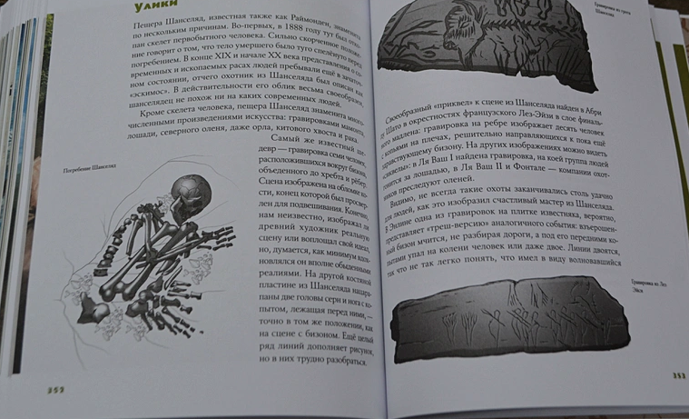 Байки из грота. 50 историй из жизни древних людей - фото №11