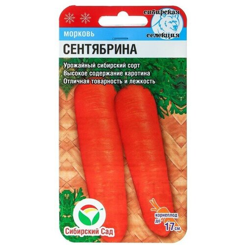 Семена Морковь Сентябрина, 2 г семена морковь сентябрина 2 г 2 упак