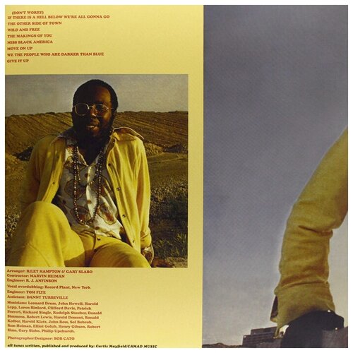 Виниловая пластинка Curtis Mayfield Виниловая пластинка Curtis Mayfield / Curtis (LP)