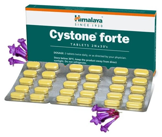 Цистон Форте Хималая (Cystone Forte) Для лечения мочеполовой системы выводит камни из почек 60 таб.