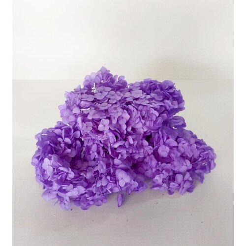 Сухоцвет Гортензия, в коробке, 20гр, сиреневый