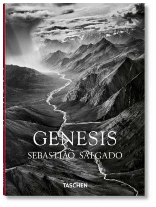 Sebastiao salgado. genesis