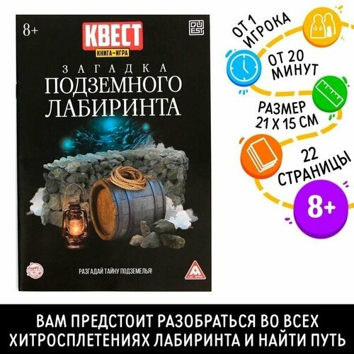 Книга-квест Загадка подземного лабиринта версия 2 книга квест загадка подземного лабиринта версия 1 7