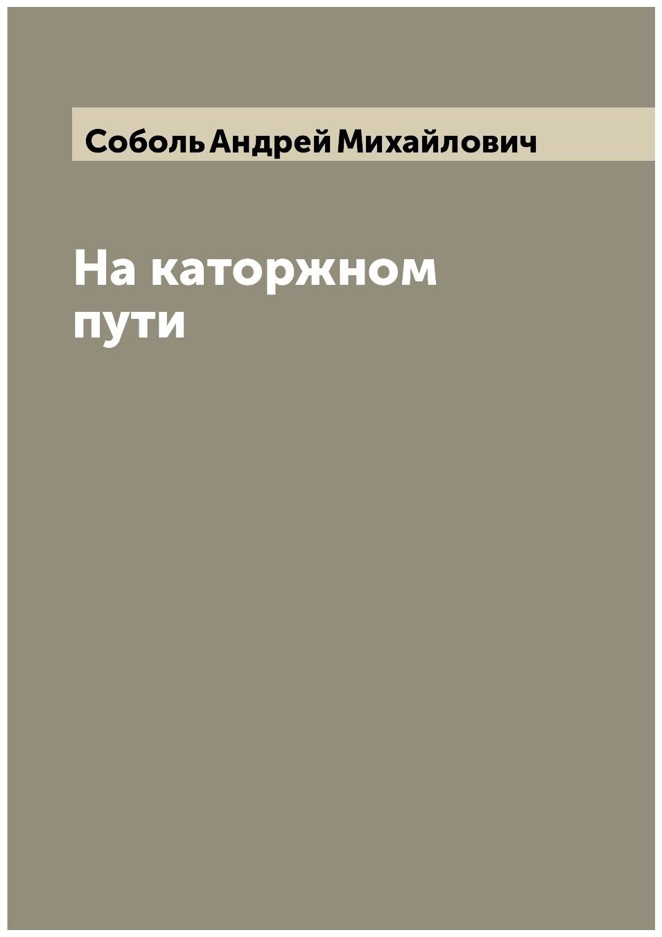 Книга На каторжном пути (Соболь Андрей Михайлович) - фото №1