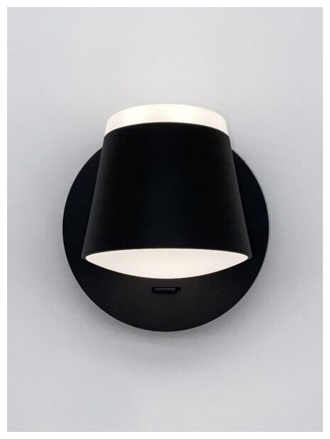 Светильник настенный бра Elegant SPF-9874 BLACK/черный D120/H100/2/LED/8W/4500K PRESENT