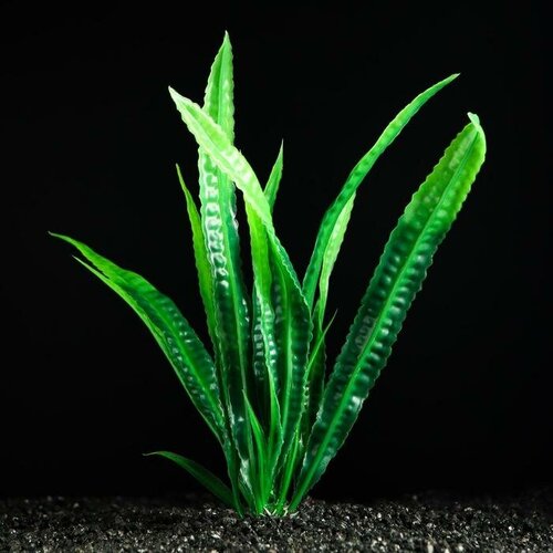 Растение искусственное аквариумное, 4 х 20 см, зелёное(5 шт.)