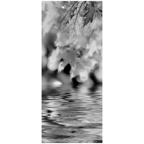 Самоклеящиеся фотообои Осенний ручей, размер: 90x210 см, эффект: черно-белый