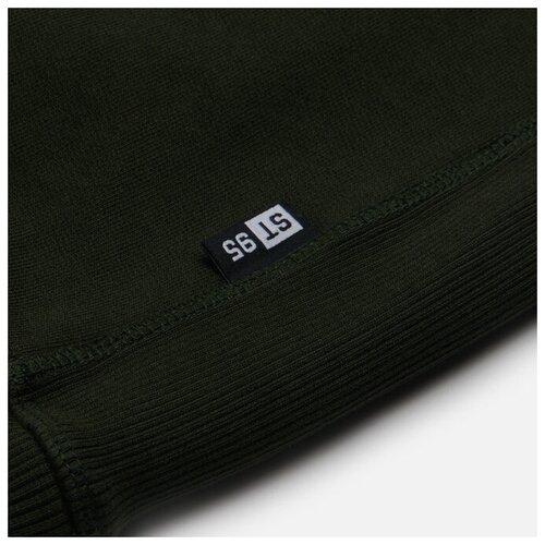 Мужская толстовка ST-95 Logo Patch Crew Neck зелёный , Размер XL