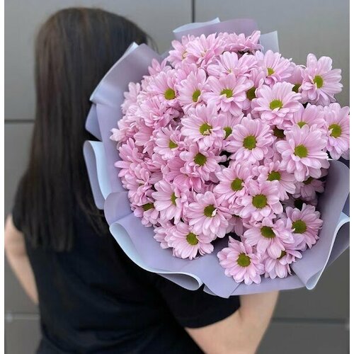 Букет Хризантемы розовые 51 шт, красивый букет цветов, шикарный, цветы премиум.