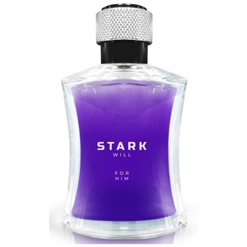 Dilis Parfum туалетная вода Stark Will, 100 мл