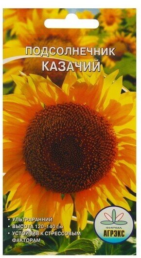 Семена Подсолнечник "Казачий ", 10 шт