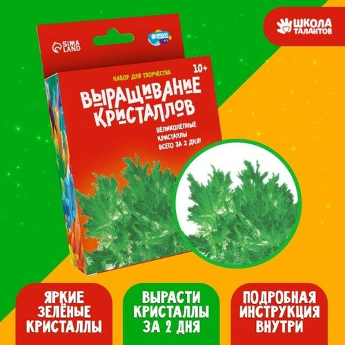 Набор для творчества истые кристаллы, цвет зелeный набор живые кристаллы