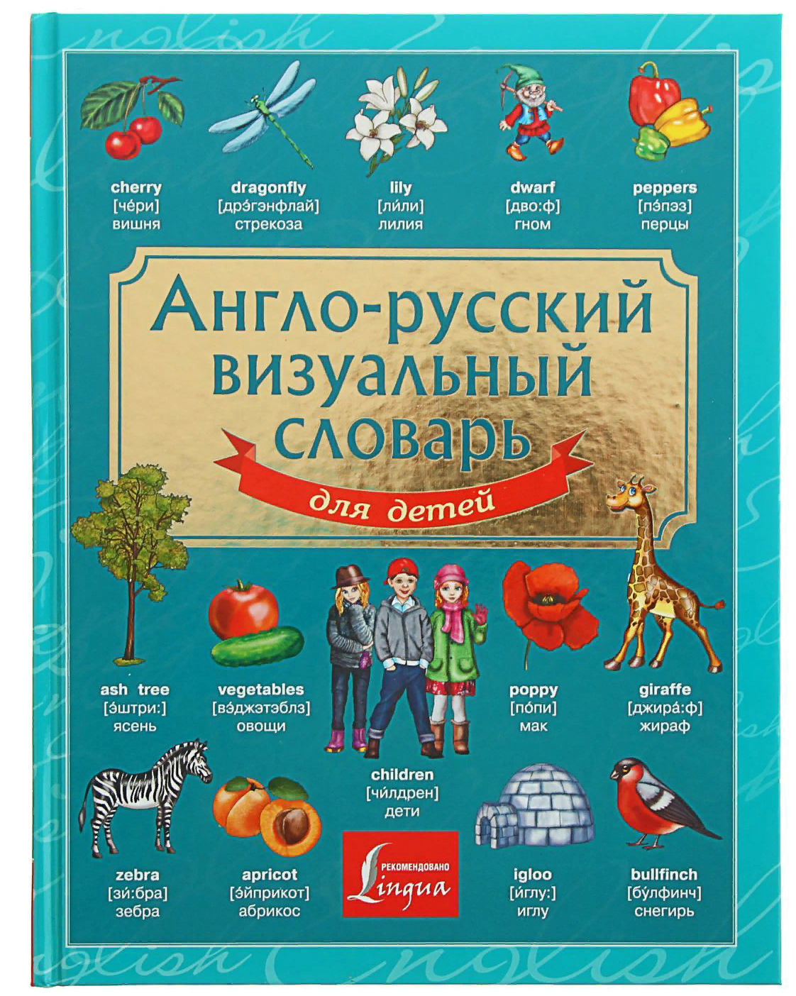 . Англо-русский визуальный словарь для детей. Детский визуальный словарь